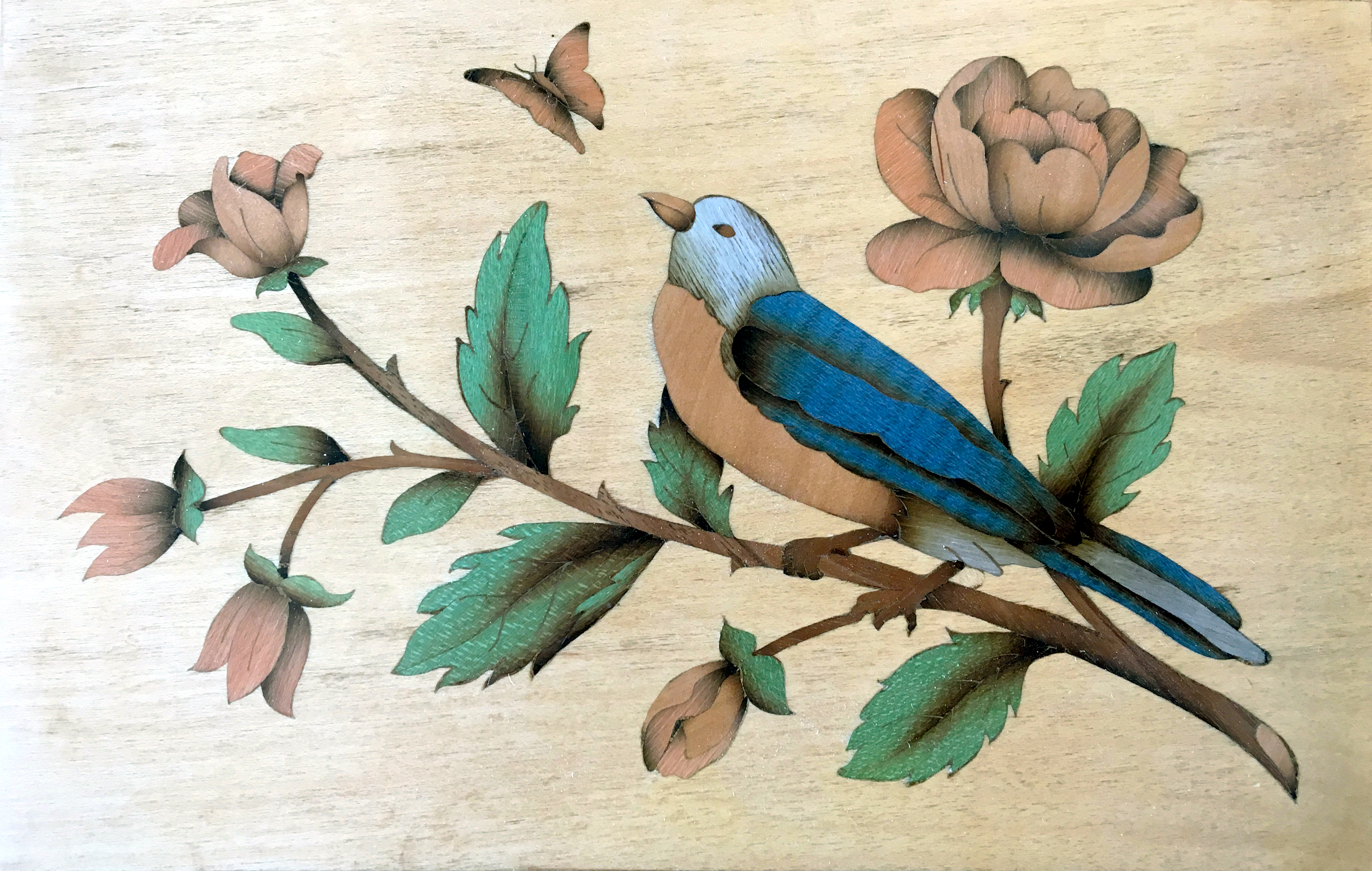 Bird and Bug